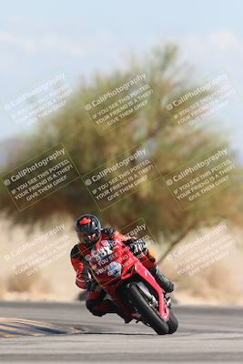 media/Oct-13-2025-Moto Forza (Mon) [[a66d839500]]/3-B Group/Session 4 Turn 4 Tree of Life/